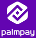 PalmPay